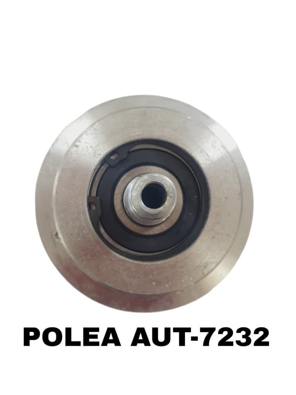 REPUESTO DE POLEA COMPLETA CORT. 330MM DE REBANADORA BM95 BERMAR