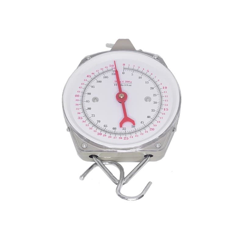 BASCULA COLGANTE DE 100 KG 